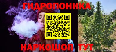 PSILOCYBIN Лесосибирск