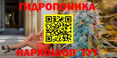 индика Ливны