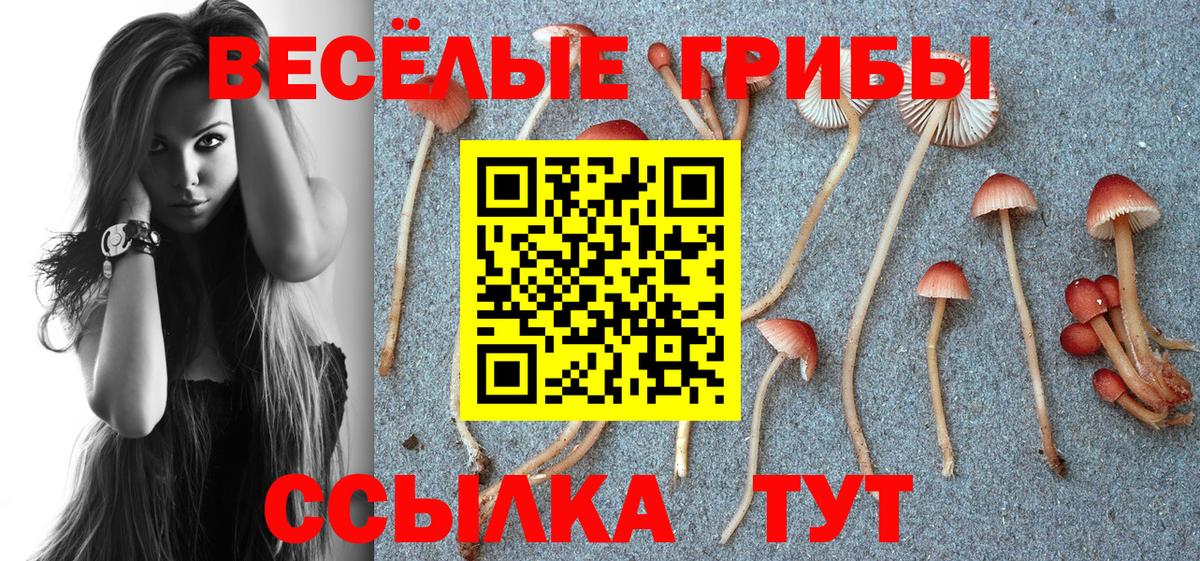 Галлюциногенные грибы мухоморы Гудермес